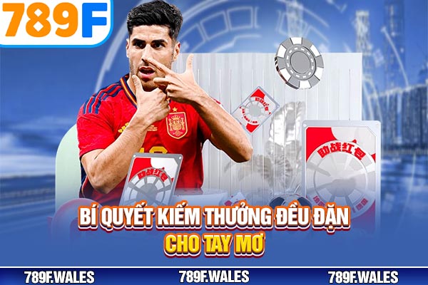 Bí quyết kiếm thưởng đều đặn cho tay mơ