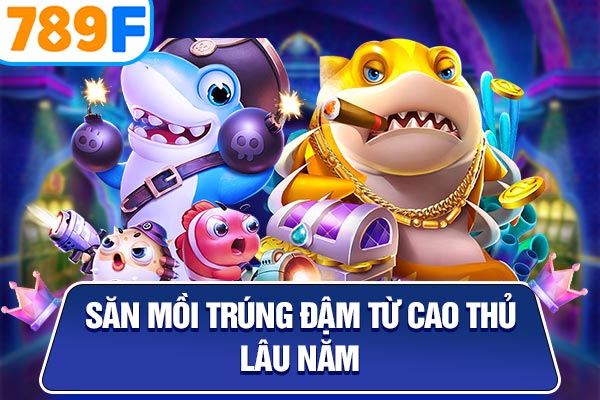 Săn mồi trúng đậm từ cao thủ lâu năm Săn mồi trúng đậm từ cao thủ lâu năm