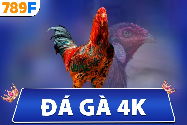 Đá Gà 4K