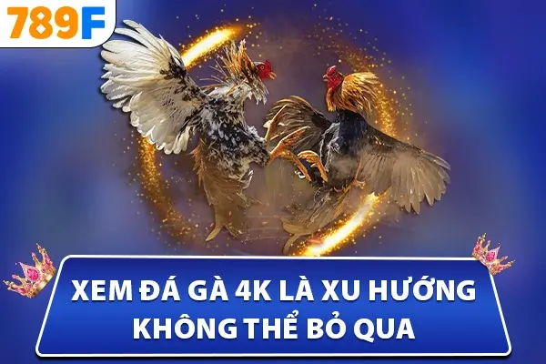 Xem Đá Gà 4K là xu hướng không thể bỏ qua