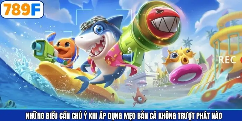 Những điều cần chú ý khi áp dụng mẹo săn cá Những điều cần chú ý khi áp dụng mẹo săn cá